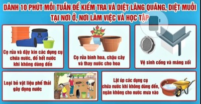 Cách phòng, chống bệnh sốt xuất huyết
