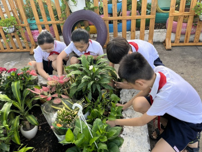 Trồng cây hưởng ứng cuộc phát động "Tết trồng và chăm sóc cây đời đời nhớ ơn Bác Hồ"