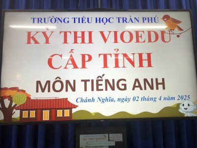 Tổ chức thi VioEdu cấp tỉnh năm học 2024 - 2025