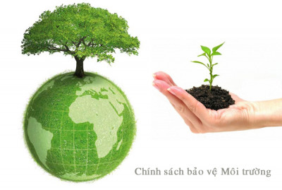 Hưởng ứng Chiến dịch Làm cho thế giới sạch hơn