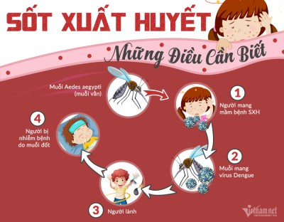 Khuyến cáo, phòng, chống bệnh sốt xuất huyết