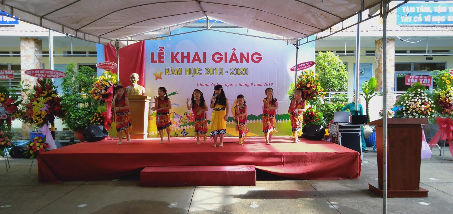 vn3