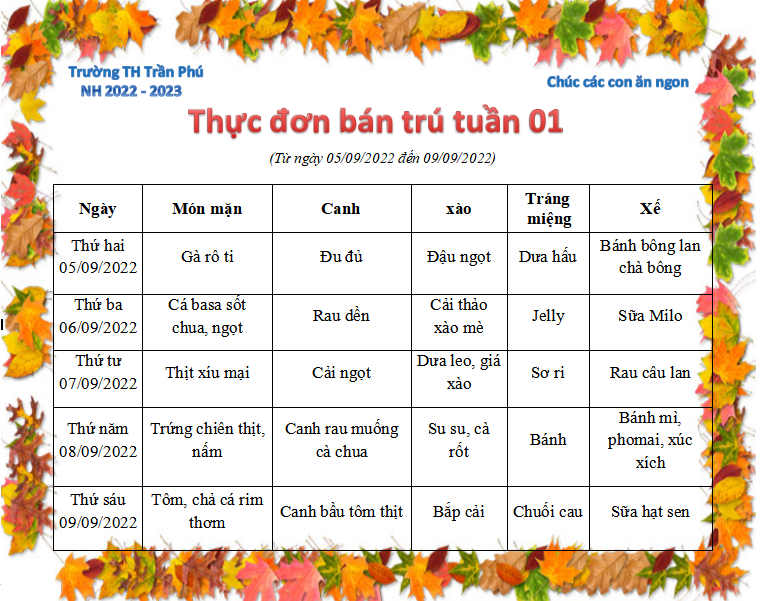 Tuần 1