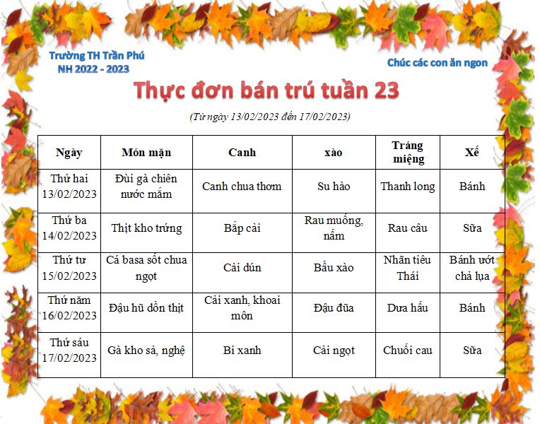 Tuần 23
