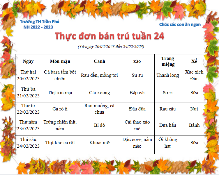 Tuần 24
