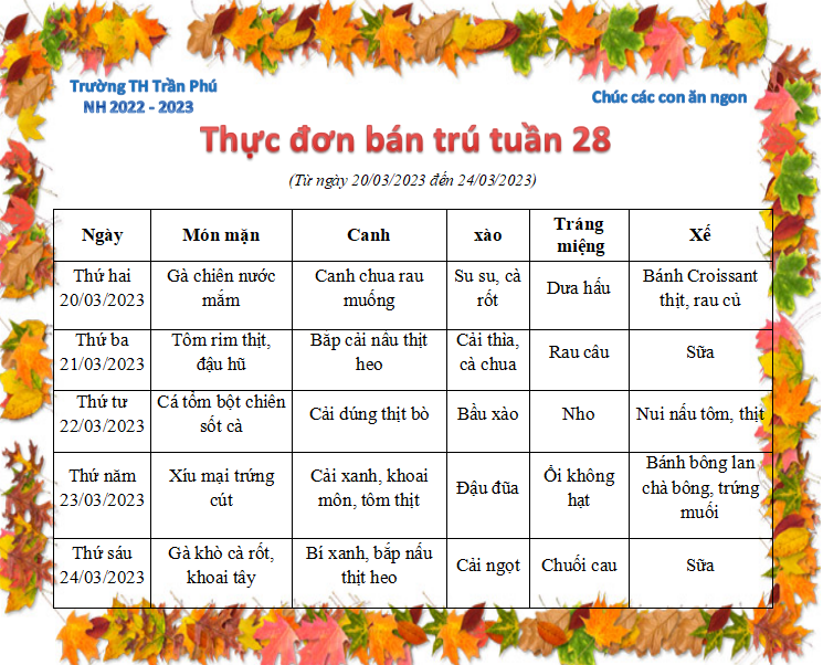 Tuần 28