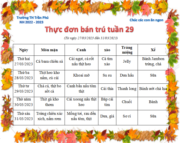 Tuần 29