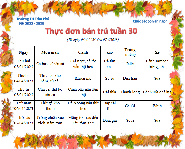 Tuần 30